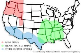 map recluse