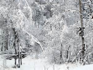 winter