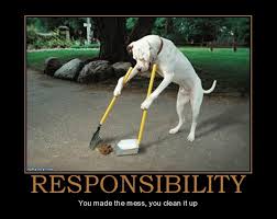 responsibility